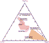 ACM_clasifica_peridotitas_y_rocas_afines.gif (26509 bytes)